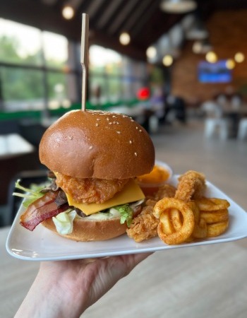 Burger Bulle Bild1